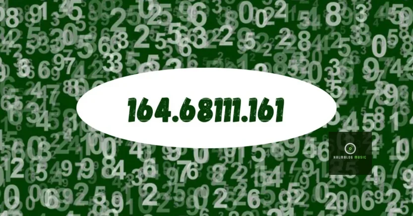 164.68111.161: The Mysterious Number and Why It Matters